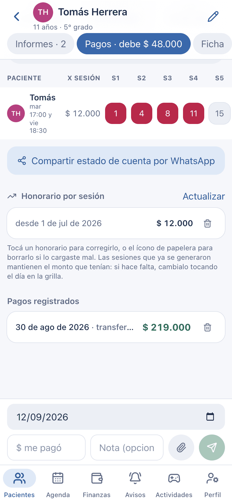 Captura: Historial y carga de pagos