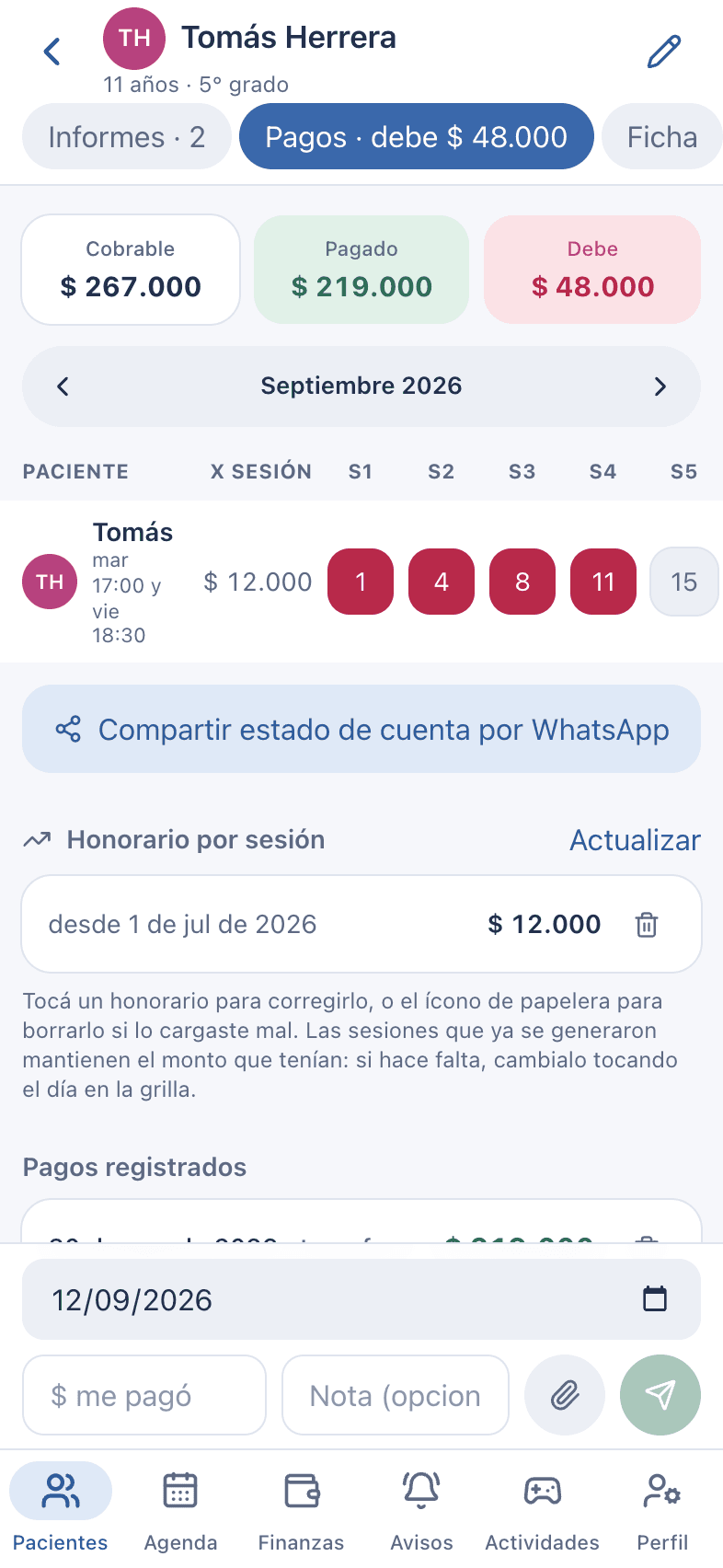 Captura: Solapa Pagos